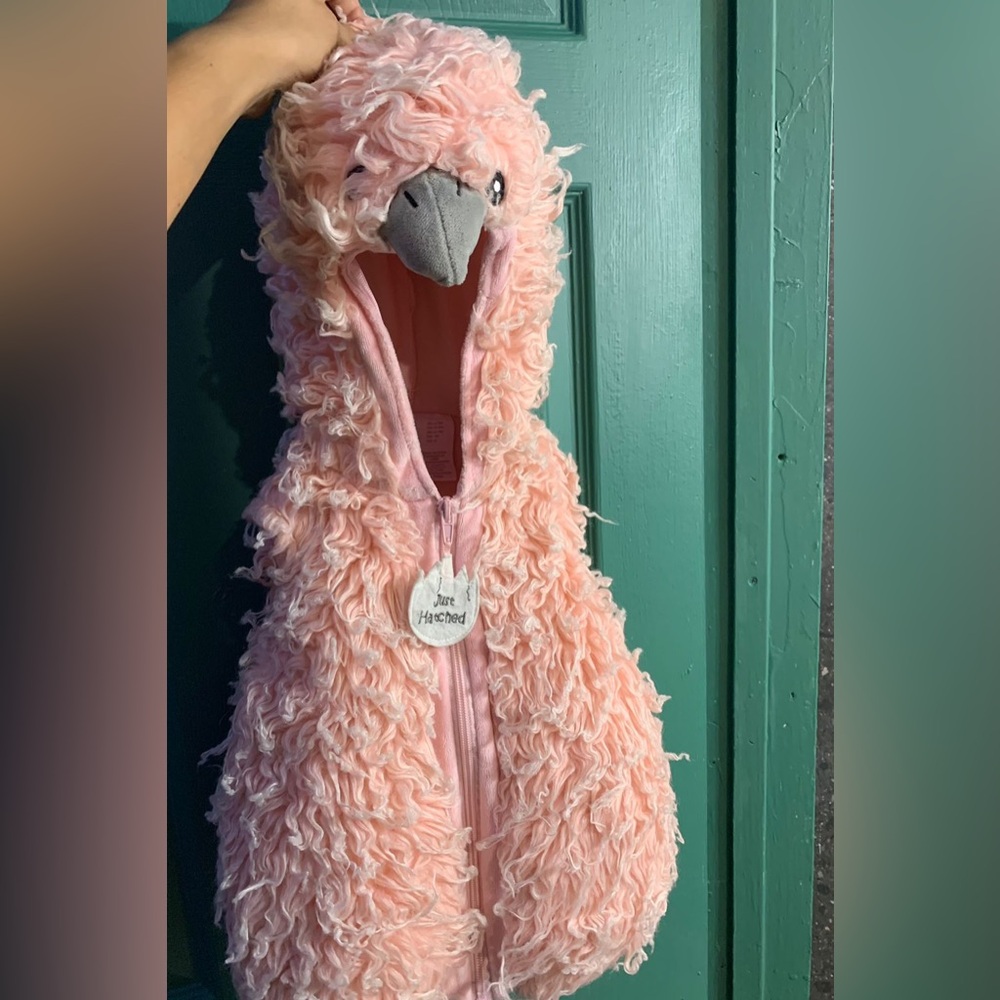 Hatchimal costume